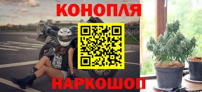 гидра Славгород