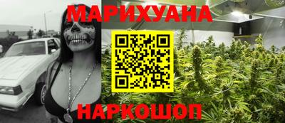 гидра Славгород